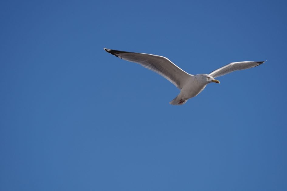 leica-sl3-s-sample-image-L1000121