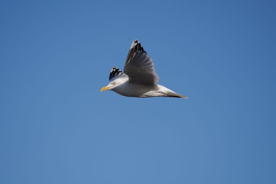 leica-sl3-s-sample-image-L1000328