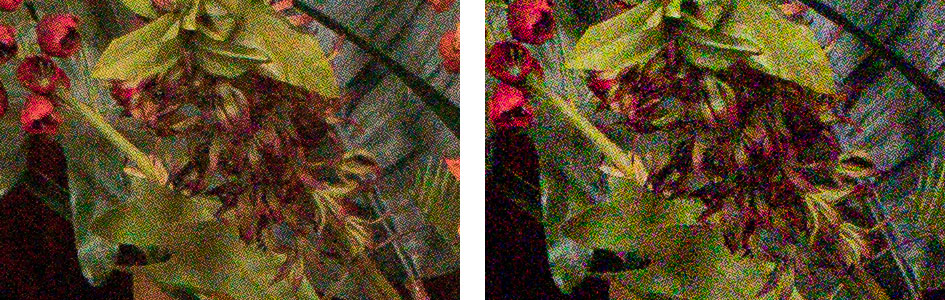 sonya7rii_vs_canon5dsr_noise_raw_12800iso